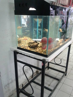 ตู้ปลาพร้อมปลา 2 ตัว ลด2300.-