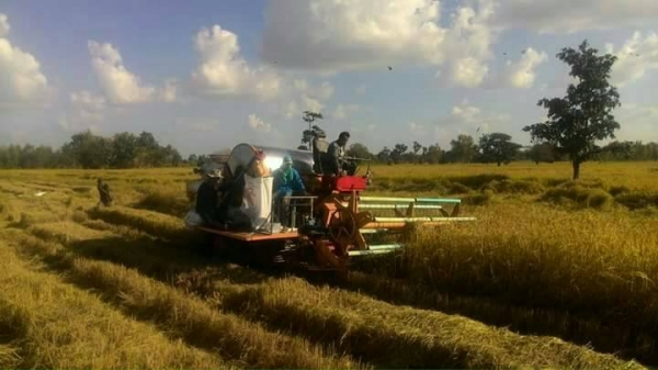 ขายรถเกี่ยวข้าวรองกระสอบ เครื่อง195แรง HO7D สภาพพร้อมใช้งาน ราคา220,000 สนใจโทร 090-8588220คุณนะ 093-3258446คุณบิว หรือเข้าดูสินค้าอื่นๆได้ที่ www.narong2truck.com หรือ www.truck.in.th/498 หรือเพจFacebook ณรงค์ ซื้อขายรถมือสอง (เว็บไซต์ส่วนตัว) หรือFacebo