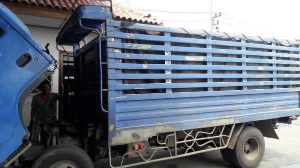 npr 130  hp กระบะเลส 450000บาท  0818444998