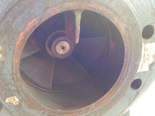 ขายหัวปั้มน้ำหอยโข่ง Ebara 150x125 FS4LA ขนาดเข้า 6นิ้ว ออก 5นิ้ว ใบพัดทองเหลือง สภาพสวยใหม่มาก พร้อมใช้งาน มี 2ตัวครับ ขายหัวปั้มน้ำหอยโข่ง Ebara 150x125 FS4LA ขนาดเข้า 6นิ้ว ออก 5นิ้ว ใบพัดทองเหลือง สภาพสวยใหม่มาก พร้อมใช้งาน มี 2ตัวครับ