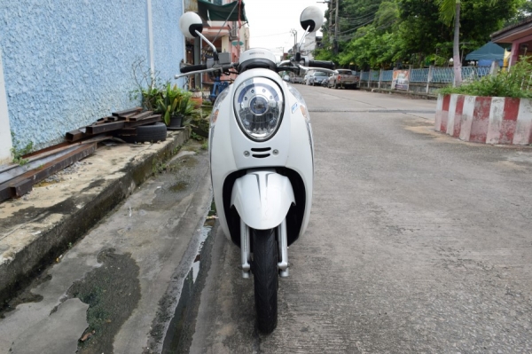 Scoopy i ลายพรีเมียม รถบ้านแท้ เล่มชุดโอนครบ ภาษีพรบถึงปี60