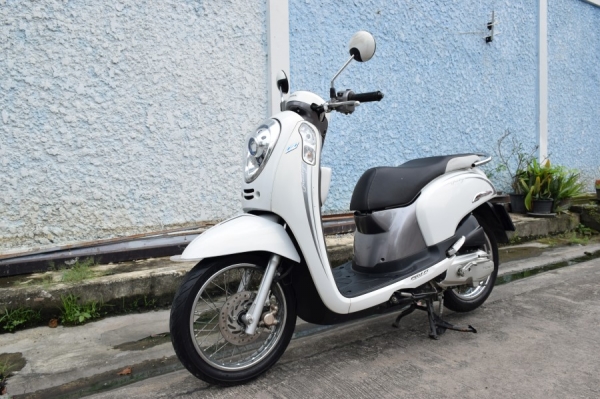 Scoopy i ลายพรีเมียม รถบ้านแท้ เล่มชุดโอนครบ ภาษีพรบถึงปี60