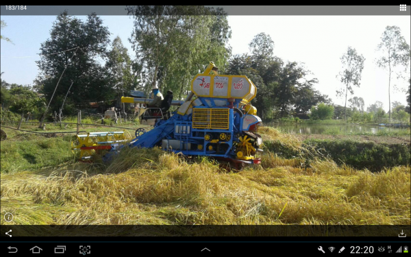 สำหรับท่านที่รอ เรายังทำรถเกี่ยวอยู่เหมือนเดิมครับ สนใจทักมาได้ ไทเส็งยนต์มดตะนอย ตัวเดิน PC200 เครื่องอิซูซู torbo ประมาณ  215  แรง ปั้ม DYkin 22  แขนปรับระดับ อุ้ม 2.2 ตัน  เลดทั้งคัน