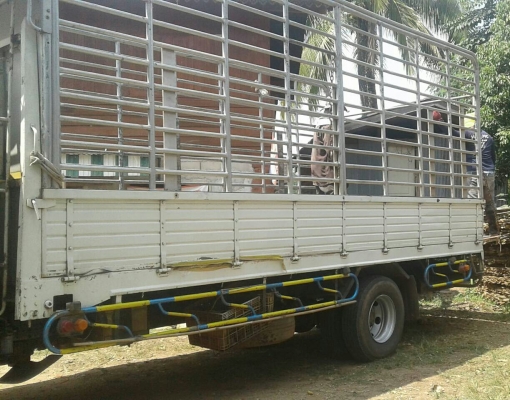 ขายดาวน์ 325,000บ หกล้อ อีซูชุ NQR175ยูโร3ปี54 ช่วงยาว5.50ม สภาพดีสวยบางเดิมพร้อมใช้ ทะเบียนพร้อมโอน ขายดาวน์ 325,000บ หกล้อ อีซูชุ NQR175ยูโร3ปี54 ช่วงยาว5.50ม สภาพดีสวยบางเดิมพร้อมใช้ ทะเบียนพร้อมโอน