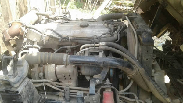 ขายดาวน์ 325,000บ หกล้อ อีซูชุ NQR175ยูโร3ปี54 ช่วงยาว5.50ม สภาพดีสวยบางเดิมพร้อมใช้ ทะเบียนพร้อมโอน ขายดาวน์ 325,000บ หกล้อ อีซูชุ NQR175ยูโร3ปี54 ช่วงยาว5.50ม สภาพดีสวยบางเดิมพร้อมใช้ ทะเบียนพร้อมโอน