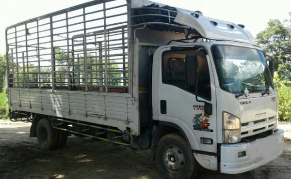 ขายดาวน์ 325,000บ หกล้อ อีซูชุ NQR175ยูโร3ปี54 ช่วงยาว5.50ม สภาพดีสวยบางเดิมพร้อมใช้ ทะเบียนพร้อมโอน ขายดาวน์ 325,000บ หกล้อ อีซูชุ NQR175ยูโร3ปี54 ช่วงยาว5.50ม สภาพดีสวยบางเดิมพร้อมใช้ ทะเบียนพร้อมโอน