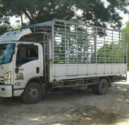 ขายดาวน์ 325,000บ หกล้อ อีซูชุ NQR175ยูโร3ปี54 ช่วงยาว5.50ม สภาพดีสวยบางเดิมพร้อมใช้ ทะเบียนพร้อมโอน ขายดาวน์ 325,000บ หกล้อ อีซูชุ NQR175ยูโร3ปี54 ช่วงยาว5.50ม สภาพดีสวยบางเดิมพร้อมใช้ ทะเบียนพร้อมโอน