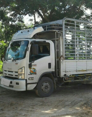 ขายดาวน์ 325,000บ หกล้อ อีซูชุ NQR175ยูโร3ปี54 ช่วงยาว5.50ม สภาพดีสวยบางเดิมพร้อมใช้ ทะเบียนพร้อมโอน ขายดาวน์ 325,000บ หกล้อ อีซูชุ NQR175ยูโร3ปี54 ช่วงยาว5.50ม สภาพดีสวยบางเดิมพร้อมใช้ ทะเบียนพร้อมโอน