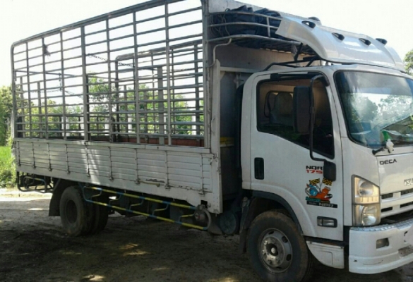 ขายดาวน์ 325,000บ หกล้อ อีซูชุ NQR175ยูโร3ปี54 ช่วงยาว5.50ม สภาพดีสวยบางเดิมพร้อมใช้ ทะเบียนพร้อมโอน