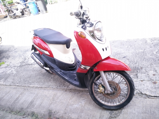 finoปี52