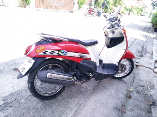 finoปี52