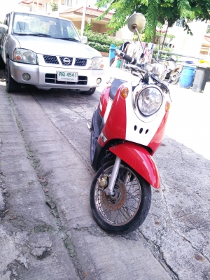 finoปี52