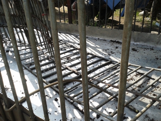 ขาย กระบะบรรทุกหมู หมู 6 ล้ออีซุซุ NPR + 120 กว้าง 2.10 เมตร ยาว 4.20 เมตร