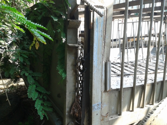 ขาย กระบะบรรทุกหมู หมู 6 ล้ออีซุซุ NPR + 120 กว้าง 2.10 เมตร ยาว 4.20 เมตร