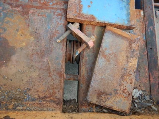 ขายขาช้างใหญ่.ยาว0815667535