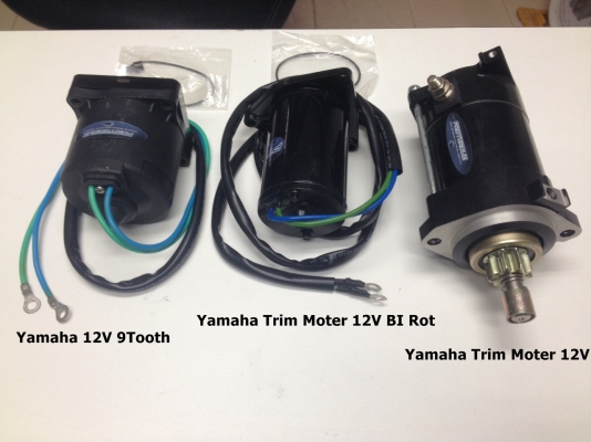 ขาย สตาร์ทเตอร์เรือ 12V9Tooth,Trim12V BI Rot,Trim12V ขาย สตาร์ทเตอร์เรือ 12V9Tooth,Trim12V BI Rot,Trim12V