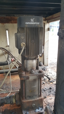 ขายปั๊มน้ำ10 แรง 2 ตัวละ 10,000 บาท   3 แรง 2 ตัวๆละ5,000 บาท