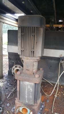 ขายปั๊มน้ำ10 แรง 2 ตัวละ 10,000 บาท   3 แรง 2 ตัวๆละ5,000 บาท