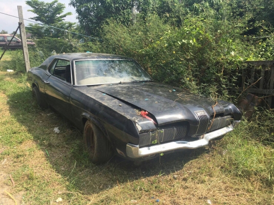 จากั่ว ขายถูก