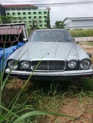 จากั่ว ขายถูก