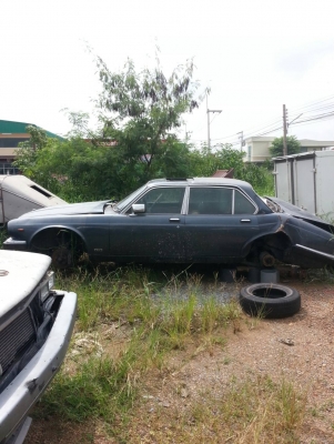 จากั่ว ขายถูก จากั่ว ขายถูก