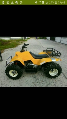 ขายatv e - ton 250cc auto ขายatv e - ton 250cc auto