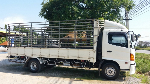 ขาย HINO FC9JJLA 175 แรง ยาว 5.50 ม. ขาย HINO FC9JJLA 175 แรง ยาว 5.50 ม.