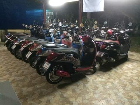 ขายสกุปี้ป่55ถึง57 ขายสกุปี้ป่55ถึง57