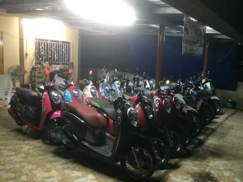 ขายสกุปี้ป่55ถึง57