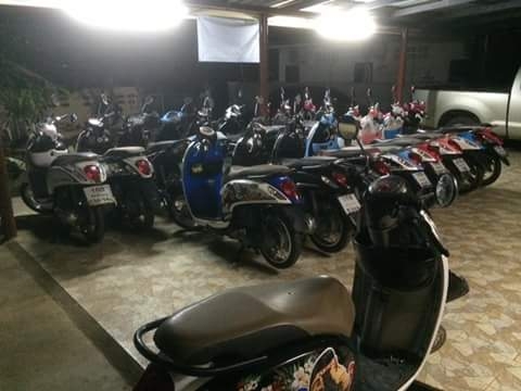 ขายสกุปี้ป่55ถึง57 ขายสกุปี้ป่55ถึง57