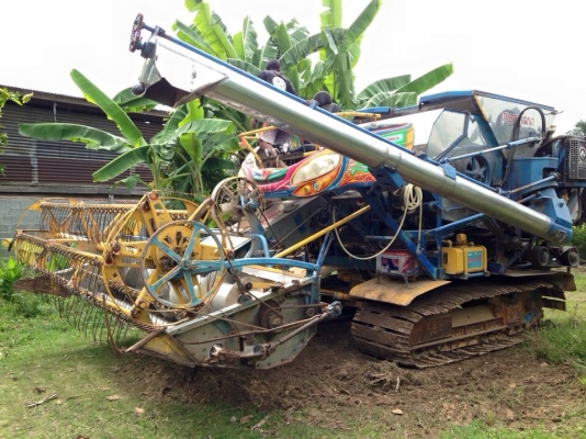 ขายไอ่หนุ่มไวไฟ ปี 55