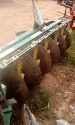 ขายด่วนหาง6ทีทีเฟิด