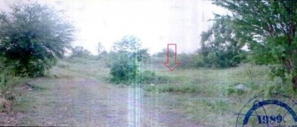 ขายที่ดินเปล่าขนาดเล็กเหมาแก่การสร้างบ้านมีตั้งแต่ 80 ตารางวา ขายที่ดินเปล่าขนาดเล็กเหมาแก่การสร้างบ้านมีตั้งแต่ 80 ตารางวา