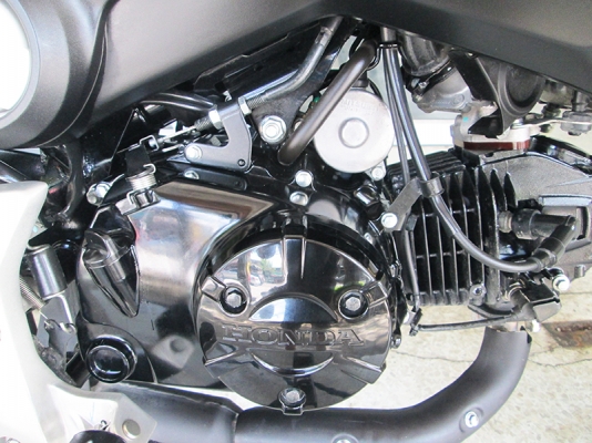 (โอนฟรี) ขาย Honda MSX ปี 2016 ไมล์ 3136 กม รถสภาพสวยพร้อมใช้งาน เครื่องหัวฉีดประหยัดน้ำมัน (โอนฟรี) ขาย Honda MSX ปี 2016 ไมล์ 3136 กม รถสภาพสวยพร้อมใช้งาน เครื่องหัวฉีดประหยัดน้ำมัน