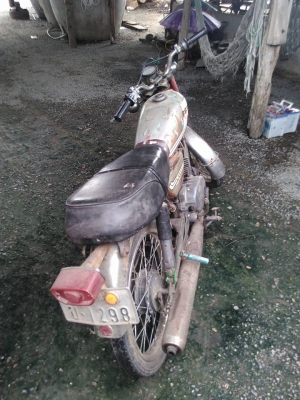 รีด วาว100 รีด วาว100