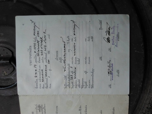 รีด วาว100 รีด วาว100