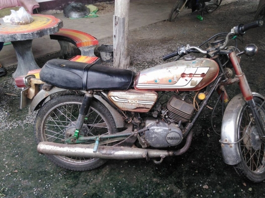 รีด วาว100