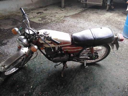 รีด วาว100