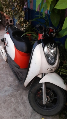 ขาย สกุ็ปปี้ เครื่องเดิมๆ ล้อซูมเมอร์ ภาษีไม่ขาด โอนได้ 14,500