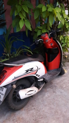 ขาย สกุ็ปปี้ เครื่องเดิมๆ ล้อซูมเมอร์ ภาษีไม่ขาด โอนได้ 14,500