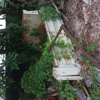 ขายลูกกะบะ6ล้อเล็ก