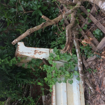 ขายลูกกะบะ6ล้อเล็ก