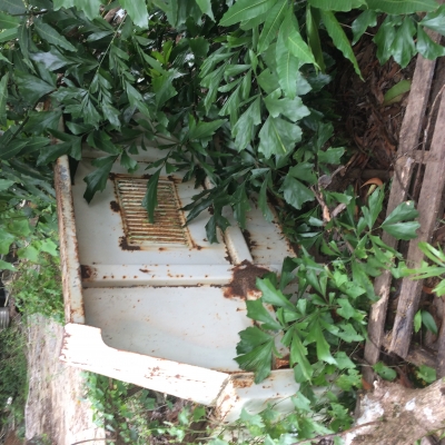 ขายลูกกะบะ6ล้อเล็ก