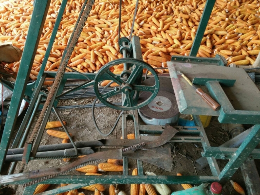 ขายเครื่องขึ้นอ้อย