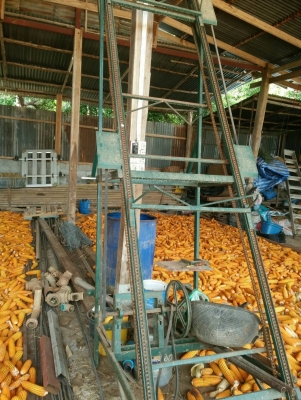 ขายเครื่องขึ้นอ้อย