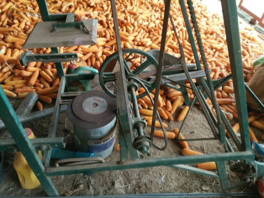 ขายเครื่องขึ้นอ้อย