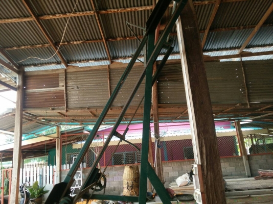 ขายเครื่องขึ้นอ้อย