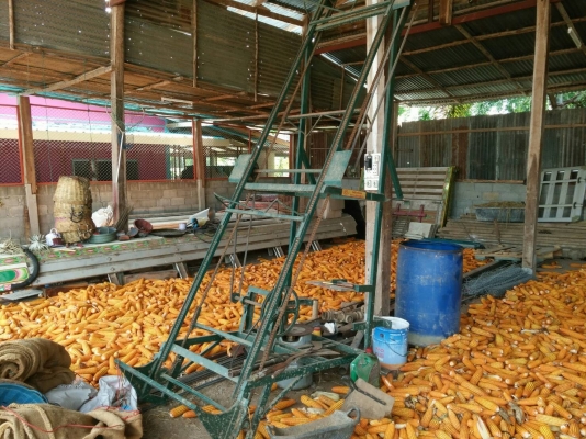 ขายเครื่องขึ้นอ้อย