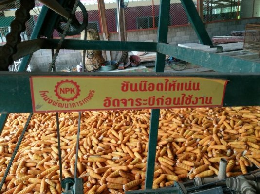 ขายเครื่องขึ้นอ้อย