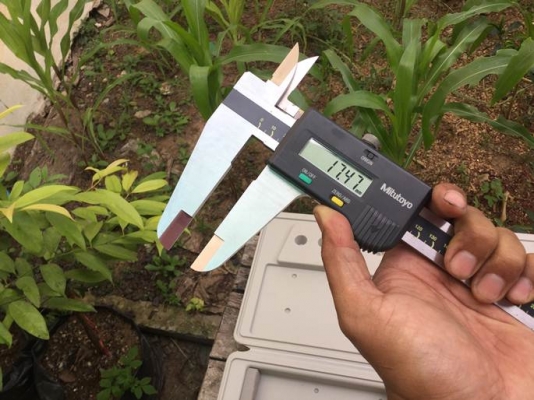 ขายเวอร์เนียดิจิตอล Mitotuyo CD-60C ขายเวอร์เนียดิจิตอล Mitotuyo CD-60C